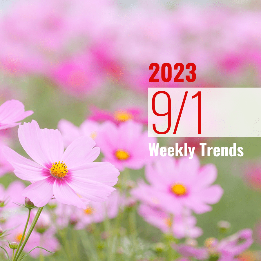 注目のテナント・施設ニュース(2023/9/1)