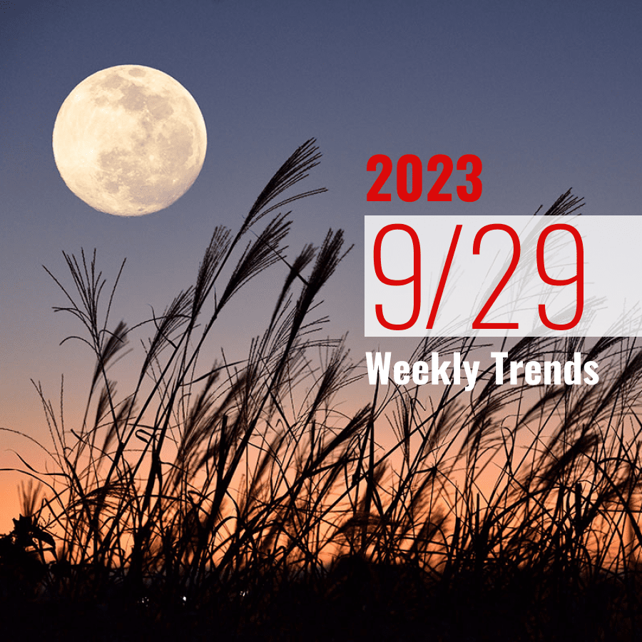 注目のテナント・施設ニュース(2023/9/29)