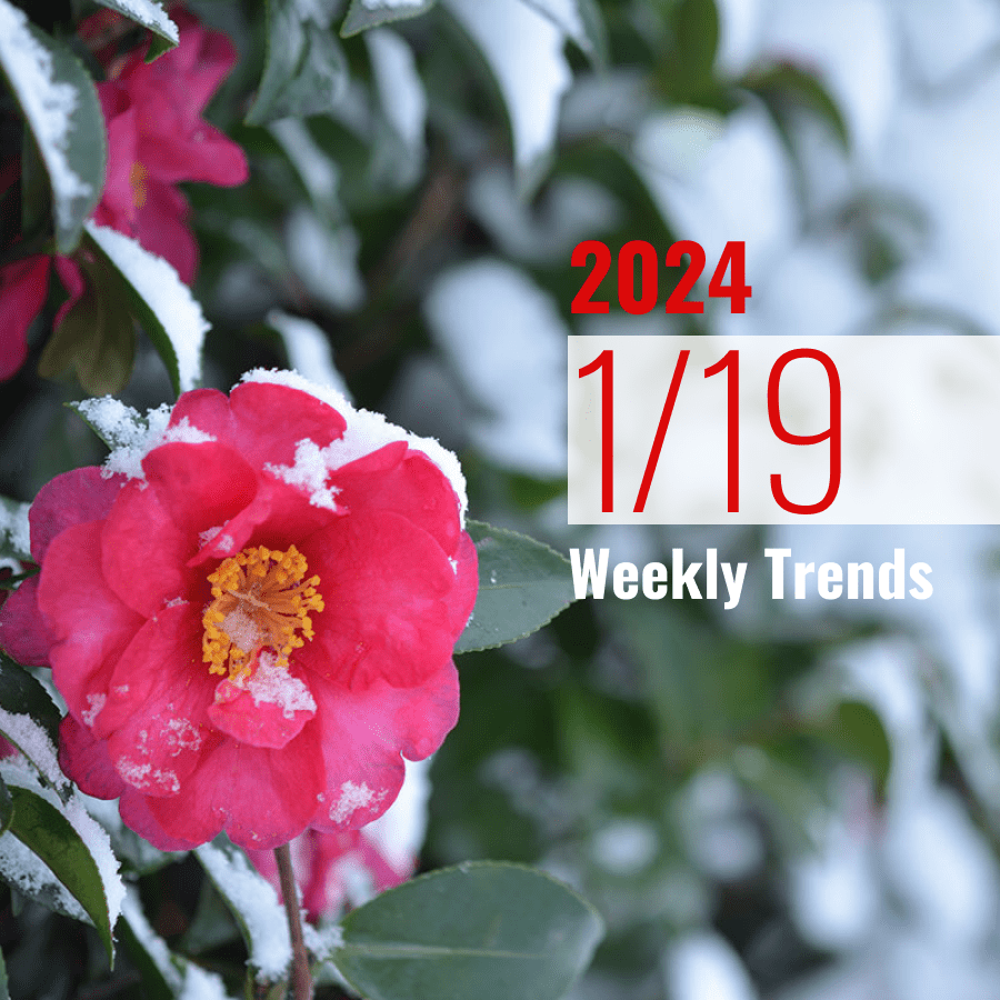 注目のテナント・施設ニュース(2024/1/19)