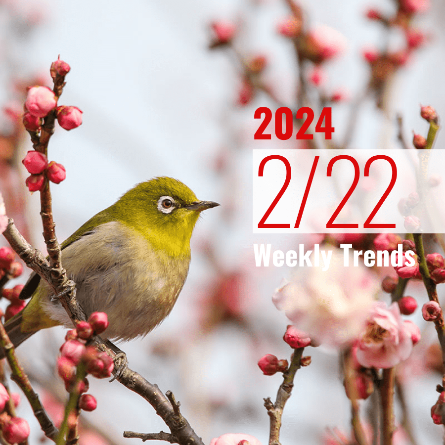 注目のテナント・施設ニュース(2024/2/22)