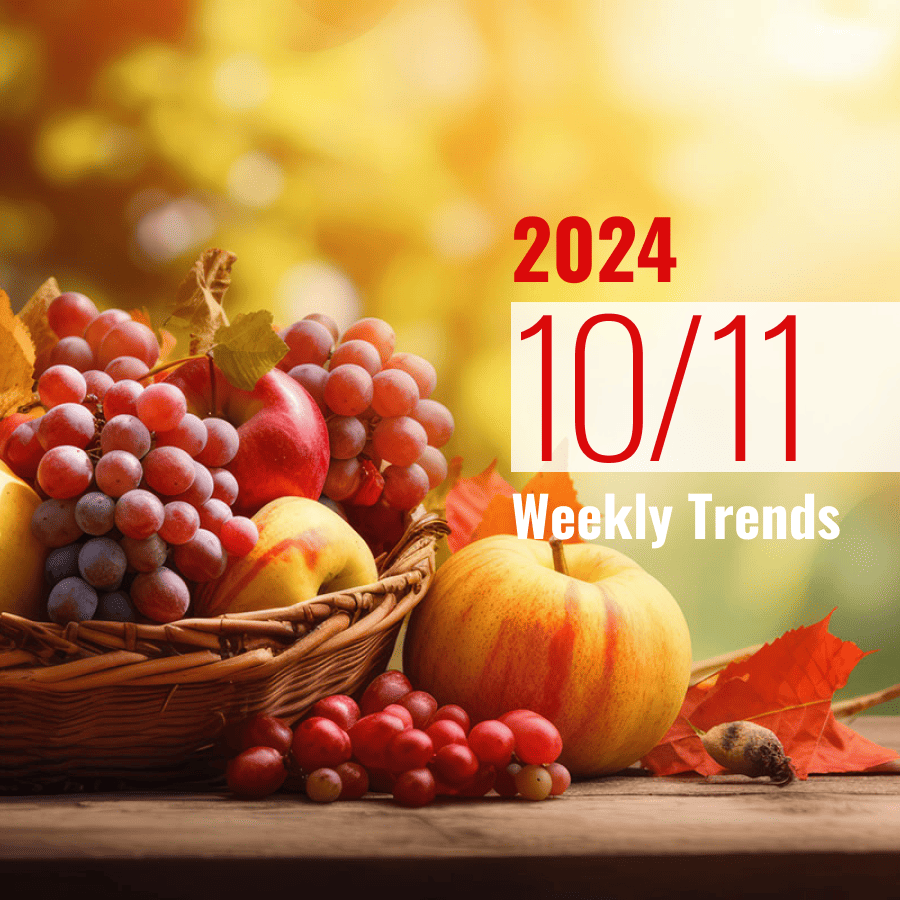 注目のテナント・施設ニュース(2024/10/11)