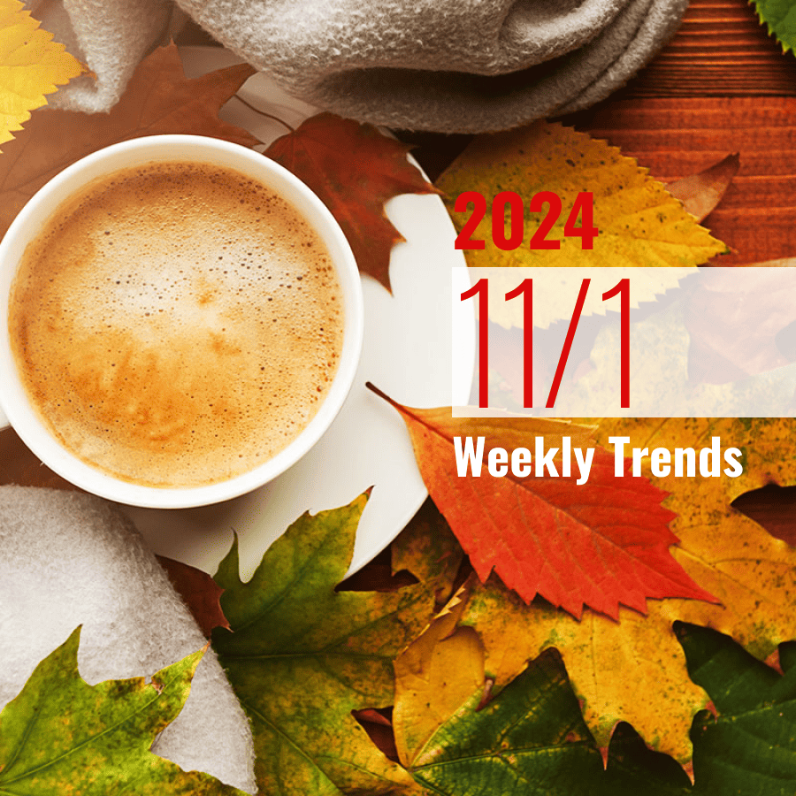 注目のテナント・施設ニュース(2024/11/1)